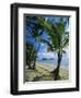 Palm Cove, with Double Island Beyond, North of Cairns, Queensland, Australia-Robert Francis-Framed Photographic Print