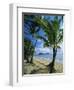 Palm Cove, with Double Island Beyond, North of Cairns, Queensland, Australia-Robert Francis-Framed Photographic Print