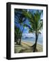 Palm Cove, with Double Island Beyond, North of Cairns, Queensland, Australia-Robert Francis-Framed Photographic Print