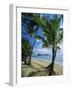 Palm Cove, with Double Island Beyond, North of Cairns, Queensland, Australia-Robert Francis-Framed Photographic Print