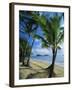 Palm Cove, with Double Island Beyond, North of Cairns, Queensland, Australia-Robert Francis-Framed Photographic Print