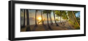 Palm Cove-Doug Cavanah-Framed Giclee Print