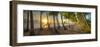 Palm Cove-Doug Cavanah-Framed Giclee Print