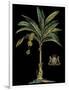 Palm & Crest on Black I-null-Framed Art Print