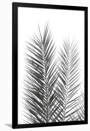 Palm Crisp Noir-Irene Suchocki-Framed Giclee Print