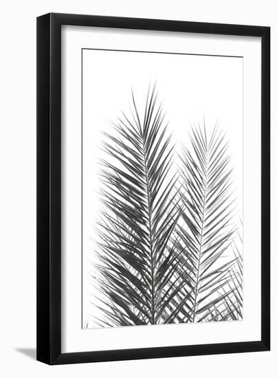 Palm Crisp Noir-Irene Suchocki-Framed Giclee Print