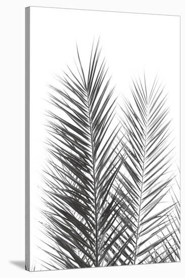 Palm Crisp Noir-Irene Suchocki-Stretched Canvas