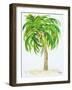 Palm Days III-Julie DeRice-Framed Art Print