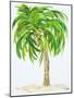 Palm Days III-Julie DeRice-Mounted Art Print