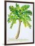 Palm Days IV-Julie DeRice-Framed Art Print