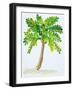 Palm Days IV-Julie DeRice-Framed Art Print