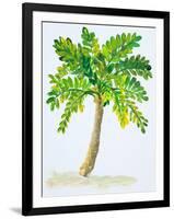 Palm Days IV-Julie DeRice-Framed Art Print