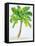 Palm Days IV-Julie DeRice-Framed Stretched Canvas