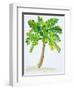 Palm Days IV-Julie DeRice-Framed Art Print