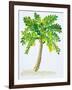 Palm Days IV-Julie DeRice-Framed Art Print