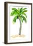 Palm Days VI-Julie DeRice-Framed Art Print