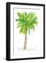 Palm Days VII-Julie DeRice-Framed Art Print