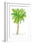 Palm Days VII-Julie DeRice-Framed Art Print