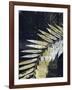 Palm Deco II-John Butler-Framed Art Print