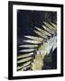 Palm Deco II-John Butler-Framed Art Print