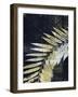 Palm Deco II-John Butler-Framed Art Print