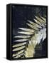 Palm Deco II-John Butler-Framed Stretched Canvas