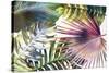 Palm Dreams - Rainbow-Paul Duncan-Stretched Canvas