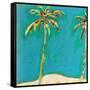 Palm Duo-Jan Weiss-Framed Stretched Canvas