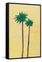 Palm Duo-Jan Weiss-Framed Stretched Canvas