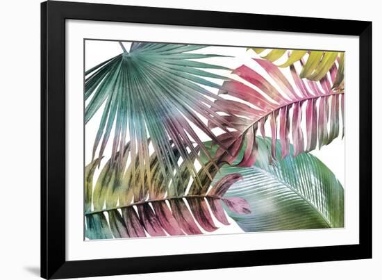 Palm Fantasy - Rainbow-Paul Duncan-Framed Giclee Print