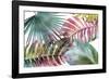 Palm Fantasy - Rainbow-Paul Duncan-Framed Giclee Print