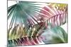 Palm Fantasy - Rainbow-Paul Duncan-Mounted Giclee Print