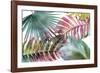 Palm Fantasy - Rainbow-Paul Duncan-Framed Giclee Print