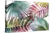 Palm Fantasy - Rainbow-Paul Duncan-Stretched Canvas