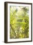 Palm Fonds II-Karyn Millet-Framed Photographic Print