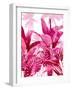 Palm Forest Pink II-Kristen Drew-Framed Art Print