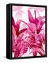 Palm Forest Pink II-Kristen Drew-Framed Stretched Canvas