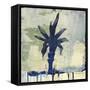 Palm Fresco I-David Dauncey-Framed Stretched Canvas