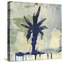 Palm Fresco I-David Dauncey-Stretched Canvas