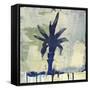 Palm Fresco I-David Dauncey-Framed Stretched Canvas