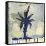 Palm Fresco I-David Dauncey-Framed Stretched Canvas