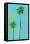 Palm Friends-Jan Weiss-Framed Stretched Canvas