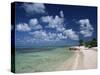 Palm-Fringed Beach, Cayman Kai, Grand Cayman, Cayman Islands, West Indies, Central America-Ruth Tomlinson-Stretched Canvas