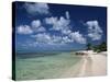 Palm-Fringed Beach, Cayman Kai, Grand Cayman, Cayman Islands, West Indies, Central America-Ruth Tomlinson-Stretched Canvas