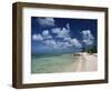 Palm-Fringed Beach, Cayman Kai, Grand Cayman, Cayman Islands, West Indies, Central America-Ruth Tomlinson-Framed Photographic Print