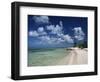 Palm-Fringed Beach, Cayman Kai, Grand Cayman, Cayman Islands, West Indies, Central America-Ruth Tomlinson-Framed Photographic Print