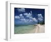 Palm-Fringed Beach, Cayman Kai, Grand Cayman, Cayman Islands, West Indies, Central America-Ruth Tomlinson-Framed Photographic Print