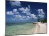 Palm-Fringed Beach, Cayman Kai, Grand Cayman, Cayman Islands, West Indies, Central America-Ruth Tomlinson-Mounted Photographic Print