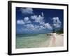 Palm-Fringed Beach, Cayman Kai, Grand Cayman, Cayman Islands, West Indies, Central America-Ruth Tomlinson-Framed Photographic Print