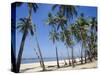 Palm Fringed Beach, Goa, India-Michelle Garrett-Stretched Canvas